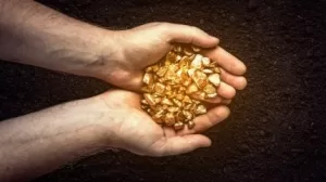 Canex Metals تبدأ محاولتها للاستحواذ على موارد حوض الذهب