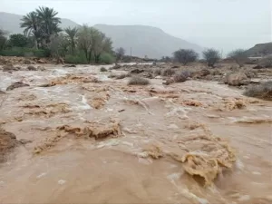 إصابات الأمطار في شبوة: خسائر مادية تقدر بخمسين مليون ريال
