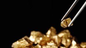 بيربيتوا تؤمن التخليص المشروط من USFS لمشروع ستبنايت