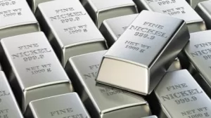 تقوم LifeZone Metals بإغلاق قرض جسر بقيمة 60 مليون دولار مع تمويل Taurus Mining