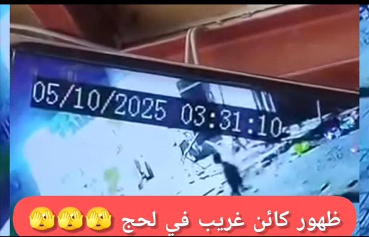 لغز منتصف الليل في لحج.. كاميرات ترصد “كائن غامض” يتجول في الحوطة!