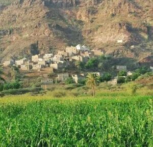 اخبار وردت الآن – سكان منطقتي اللصبة والتربة يوجهون نداء طارئ لإنقاذهم من أزمة صحية.