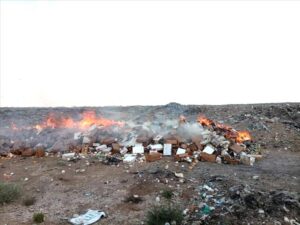 اخبار عدن – إدارة الرعاية الطبية البيئية في المنصورة تتخلص من 5 أطنان من المواد الغذائية غير صالحة للاستخدام.