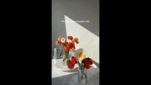 tag someone you want to give flowers to @RachelChoFloral #flowers #arrangement #poppies