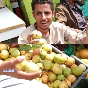 اخبار المناطق – مدير إعلام ردفان رائد الغزالي يتحدث عن قصص النضال في أسواق المديرية.