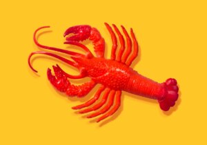 بعد كل الضجة، يشعر بعض خبراء الذكاء الاصطناعي أن OpenClaw ليس مثيرًا كما يُعتقد