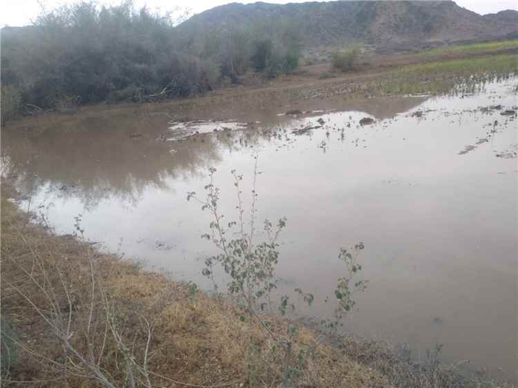 أمطار غزيرة تهطل على مناطق متفرقة من محافظة أبين